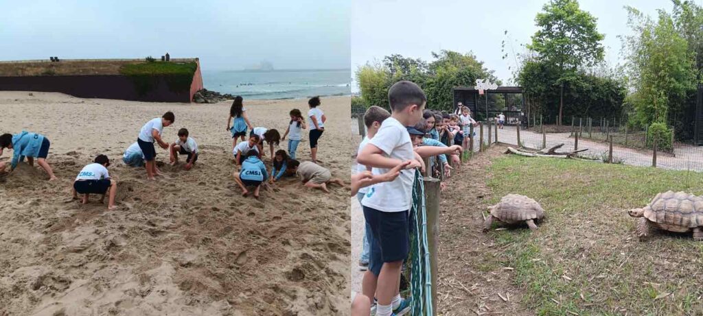 zoo-maia-cmsj-colegio-vila-real