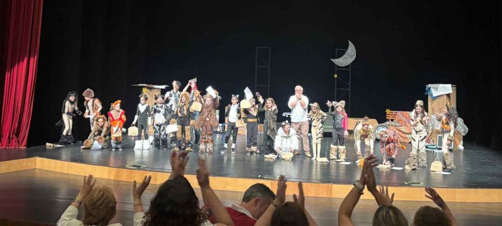 cats-cmsj-colegio-vila-real